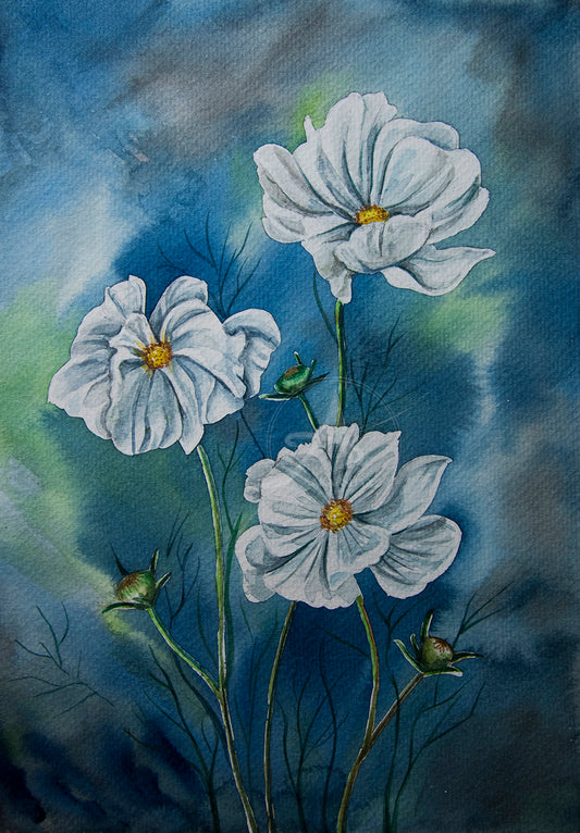 Cosmos